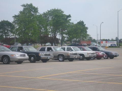 2001 Ford Crown Victoria - Multiple sedans, including Ford Crown Victorias, are parked in an outdoor lot.