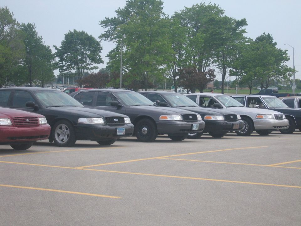 Several Ford Crown Victoria police cars parked in a lot. One is red, the rest are dark colored