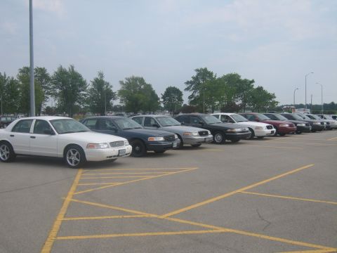 2001 Ford Crown Victoria - Multiple police sedans, likely Ford Crown Victorias, parked in a lot under a cloudy sky.