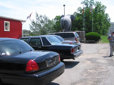 2001 Ford Crown Victoria - A black 2001 Ford Crown Victoria is parked in a lot with other vehicles and an elephant statue in the background.