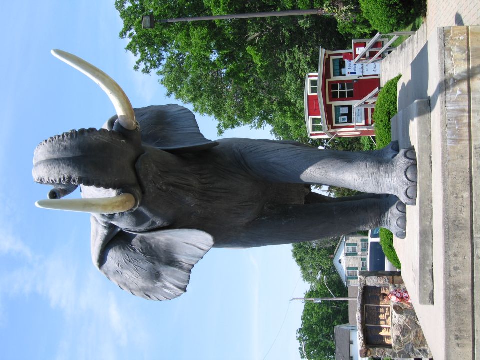Sideways view of the Jumbo elephant statue with trees and a red building