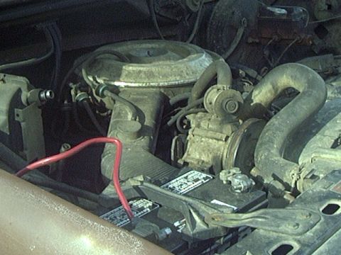 1981 Ford Bronco photo