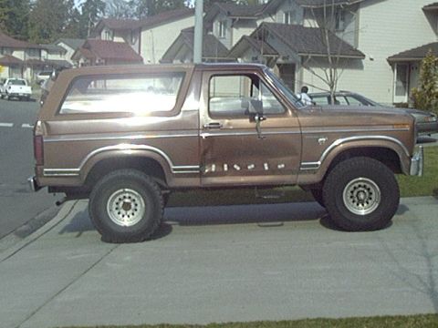 1981 Ford Bronco photo