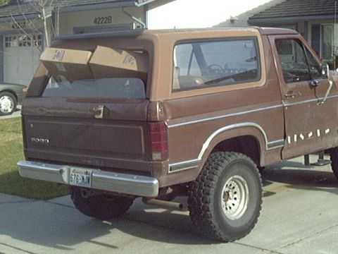 1981 Ford Bronco photo