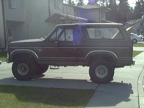 1981 Ford Bronco photo