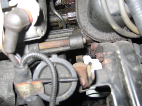 1991 Ford LTD Crown Victoria - Close-up view of engine components, including hoses and electrical wiring.