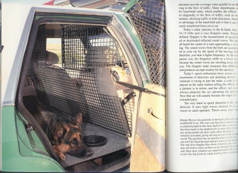 1991 Ford LTD Crown Victoria - Interior view of a 1991 Ford Crown Victoria LTD, modified for police use, with a K-9 unit dog resting.