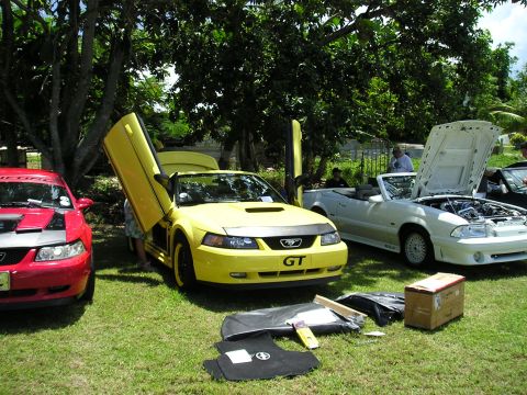 2009 Ford Mustang - A yellow Ford Mustang GT with custom butterfly doors is displayed outdoors with other vehicles.