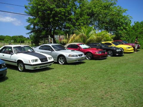 2009 Ford Mustang - Multiple Ford Mustangs from different generations are parked on a lawn.