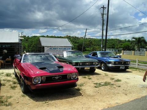 2009 Ford Mustang - A trio of vintage Ford Mustangs are gathered outside a building, possibly for a car club event.