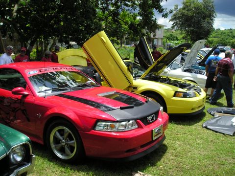 2009 Ford Mustang - Several Mustangs are displayed with hoods and doors open at an outdoor car show.