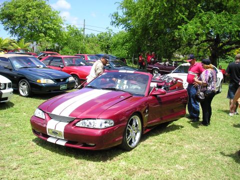 2009 Ford Mustang - A group of Mustangs are gathered outdoors on a sunny day.
