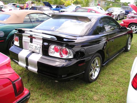 2009 Ford Mustang - Black Ford Mustang with silver racing stripes parked on grass with other cars.