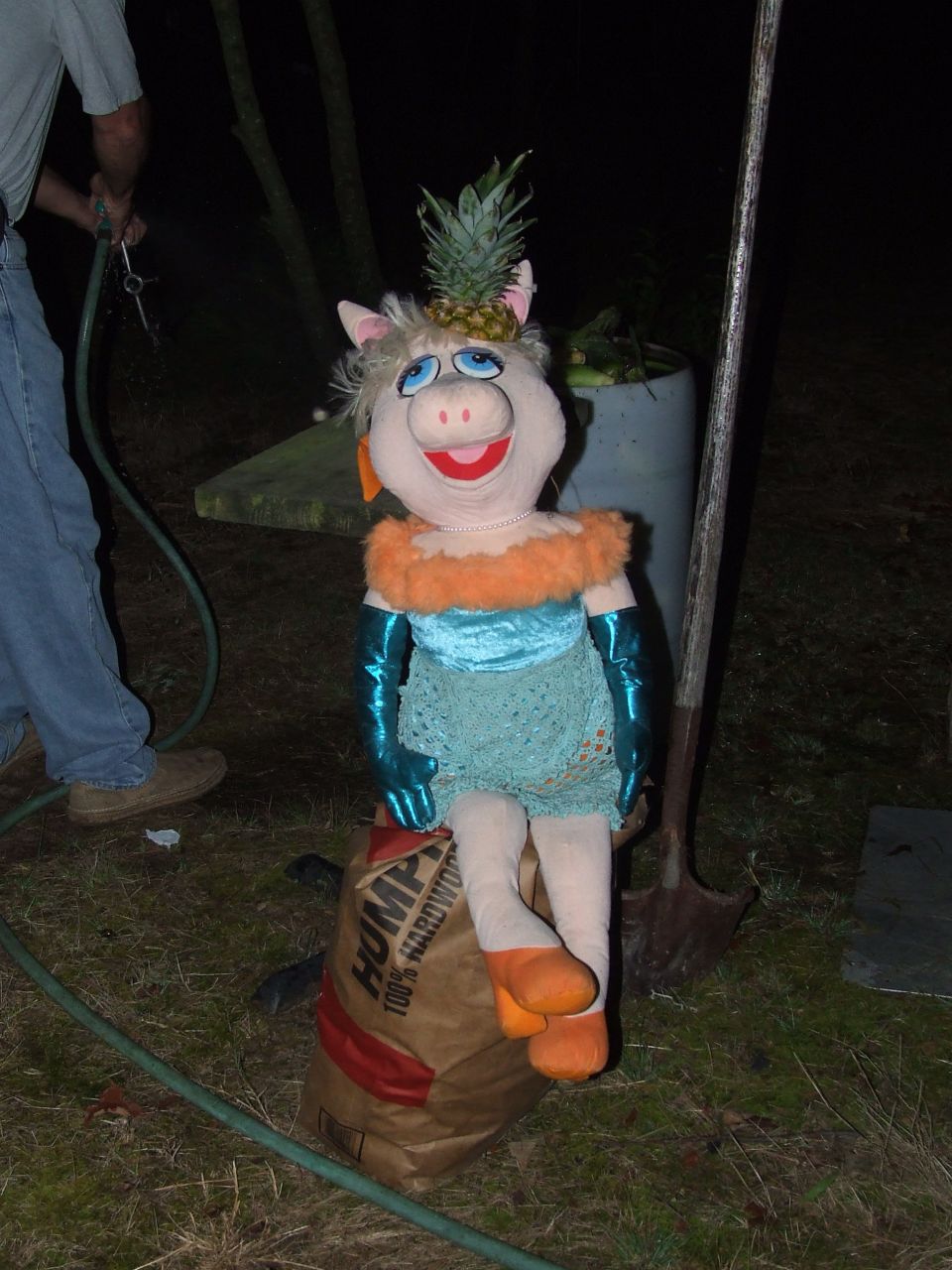 Miss Piggy puppet wearing a pineapple hat sits on a bag of charcoal