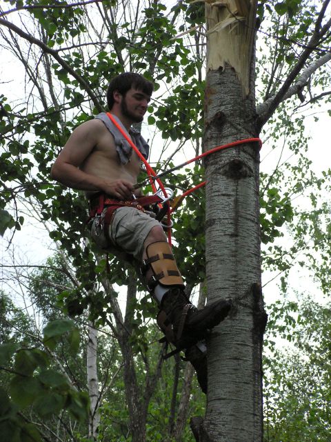 2000 Chevrolet Tahoe - A man ascends a tree using ropes and climbing equipment, with lush green foliage surrounding him.