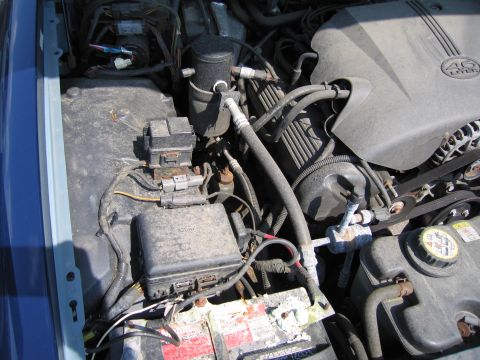 2001 Ford Crown Victoria - The engine bay of a 2001 Ford Crown Victoria shows a 4.6L V8 engine with visible components like the battery and fuse box.