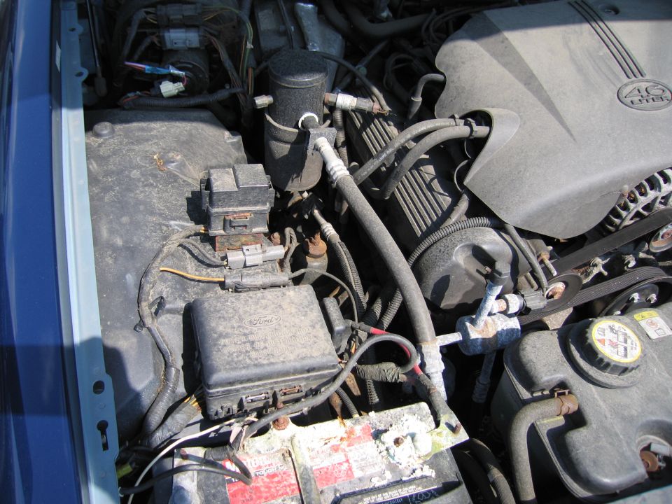 2001 Ford Crown Victoria engine bay with a 4.6L V8 engine, battery, fuse box, and various hoses