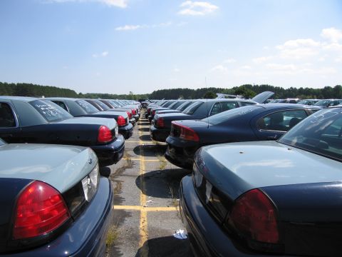 2001 Ford Crown Victoria - A large lot filled with multiple dark blue sedans parked in rows under a clear sky.