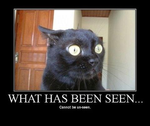 1988 Mercury Grand Marquis - Demotivational-style meme of a startled black cat with the text 'WHAT HAS BEEN SEEN... Cannot be un-seen.'