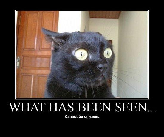 Wide-eyed startled black cat meme captioned WHAT HAS BEEN SEEN cannot be un-seen