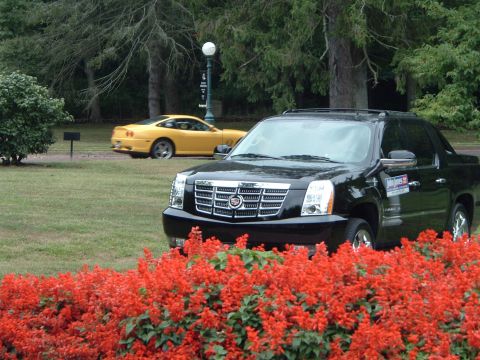 1999 Mercury Grand Marquis - A black Cadillac Escalade EXT is parked in front of a bed of red flowers, with a yellow sports car in the background.