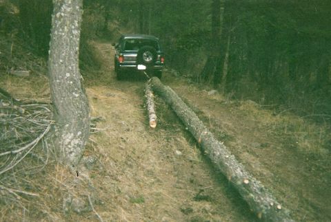 1979 Ford Bronco - CLEARING THE ROAD