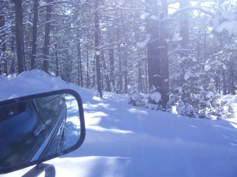 1979 Ford Bronco - THROUGH THE TREES AND OVER THE HILL