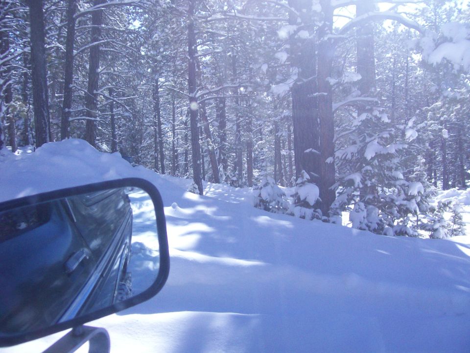 THROUGH THE TREES AND OVER THE HILL