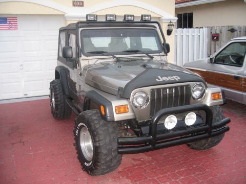 03 Wrangler - 1994 Ford Bronco