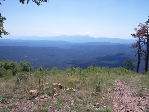 1996 Ford Bronco - A scenic view of rolling blue-green mountains under a clear blue sky. The foreground is a grassy hillside with scattered rocks and trees.