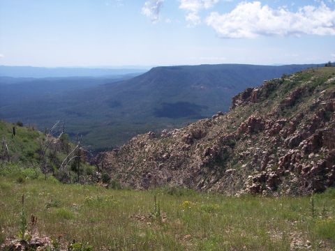 1996 Ford Bronco - A vast landscape view from a grassy hilltop overlooking a dense forest stretching to distant blue mountains under a partly cloudy sky.