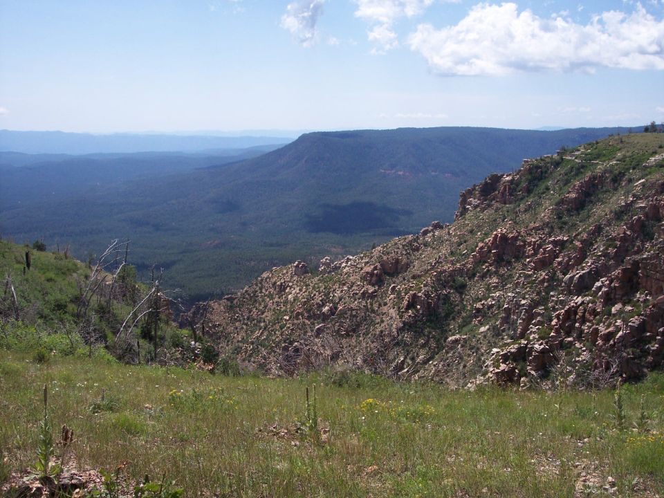 Scenic view of a forest valley and mountains from a grassy overlook.