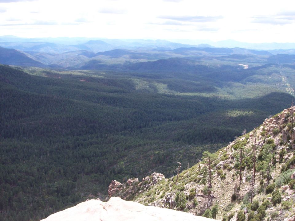Mountainous landscape with evergreen forest and cloudy sky.