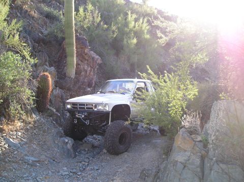 1986 Toyota Hilux