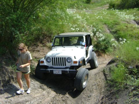 1986 Ford Bronco