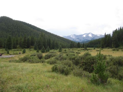 2008 Honda RANCHER