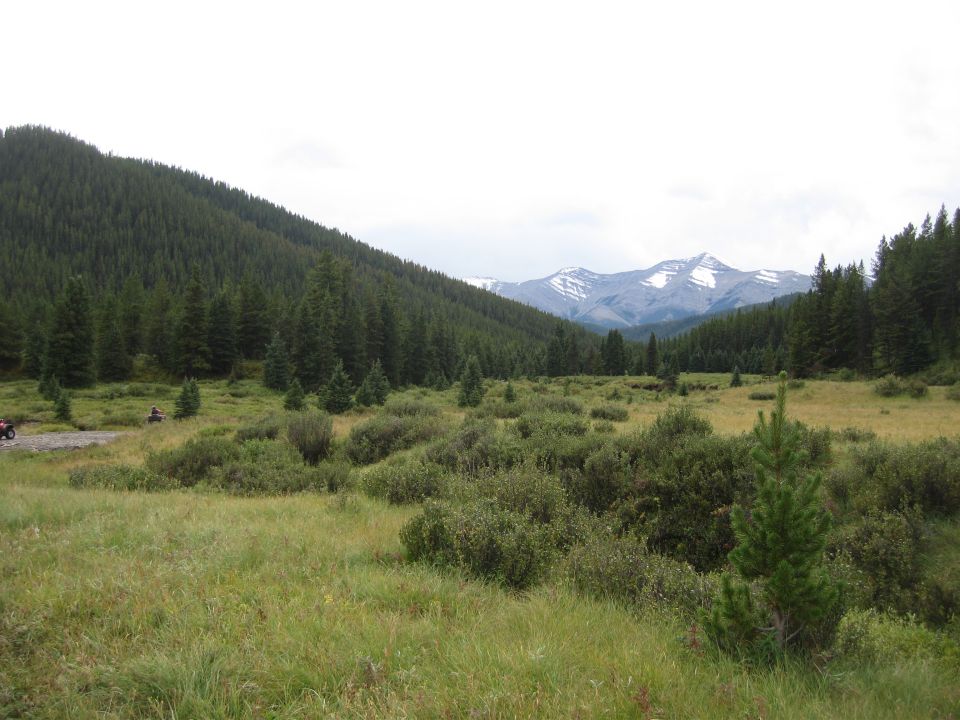 Two ATVs on a dirt path in a meadow with forest and mountains.