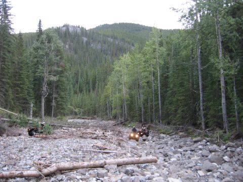 2008 Honda RANCHER