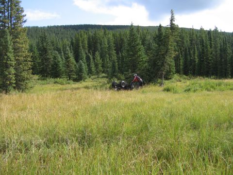 2008 Honda RANCHER