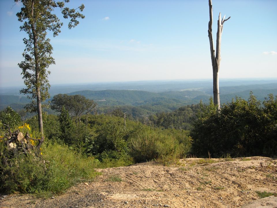 Scenic overlook of forested rolling hills under a blue sky