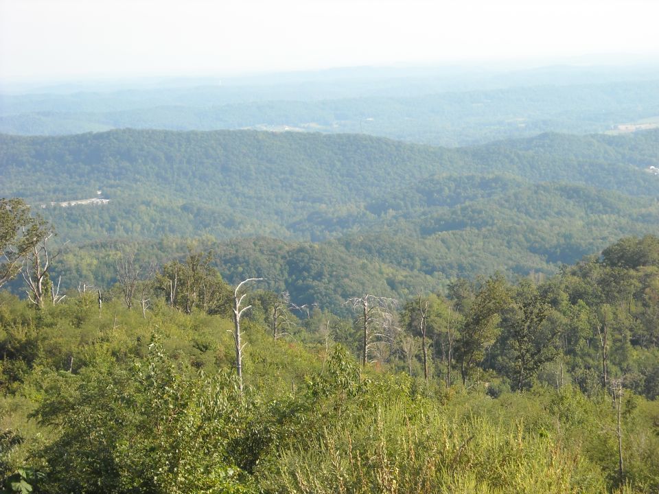 Hazy view of forested mountain ridges and valleys