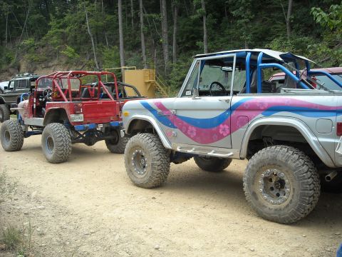 1979 Ford F-150