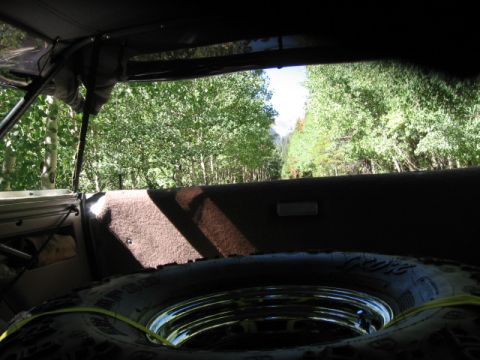 1995 Ford Bronco - the washboard FS roads, rocks, and potholes are a killer, so the big IROK spare gets tied down in the back for now. One day I'll actually c…
