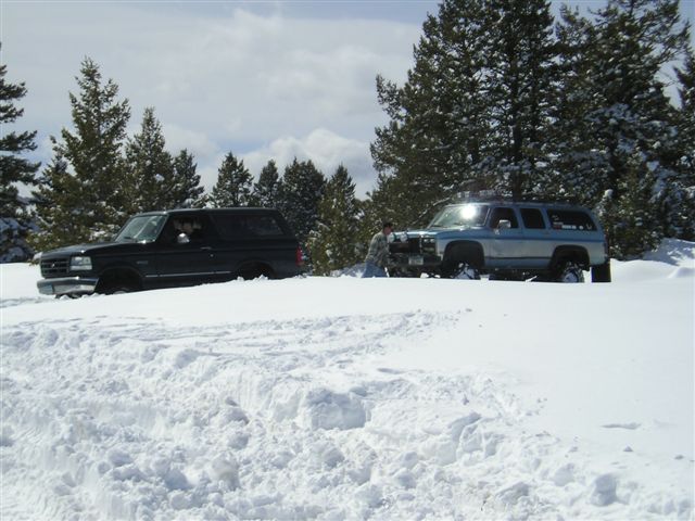 Two SUVs stuck in snow with pine trees in the background.