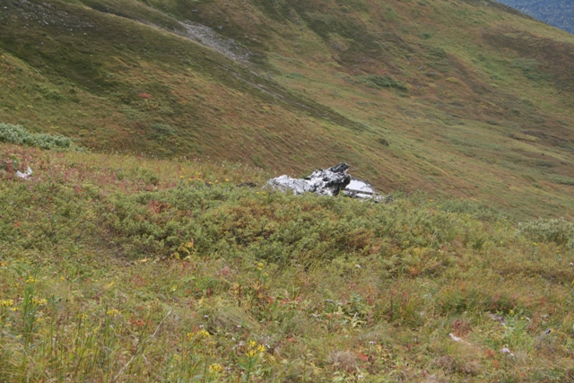 Crashed vehicle on a grassy mountainside.