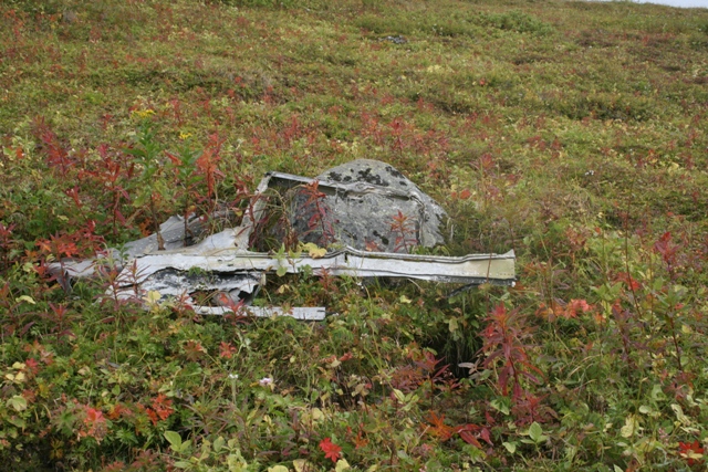 Debris from a crashed vehicle in a grassy field with red and green foliage.