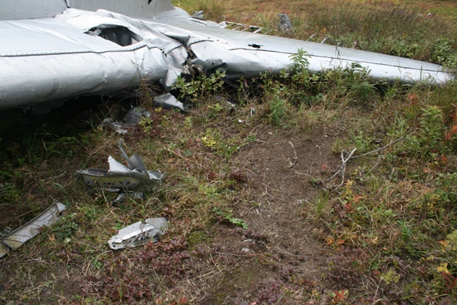Crumpled aircraft wing in a grassy field with debris.