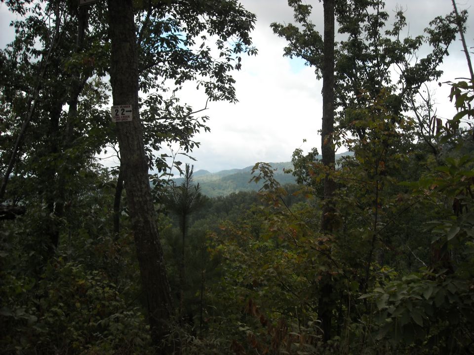 Scenic view of distant green mountains seen through trees from a trail overlook
