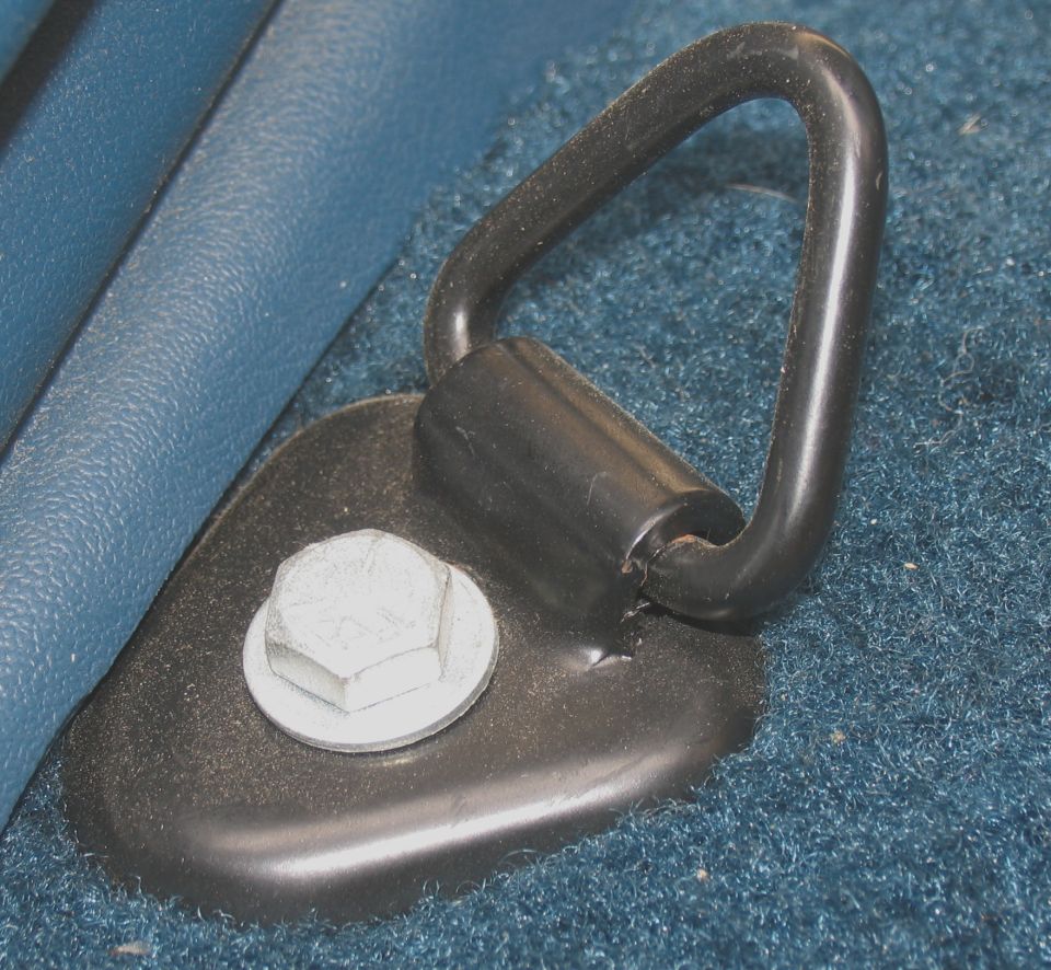 Close-up of a black tie-down loop with a hex bolt on blue carpet.