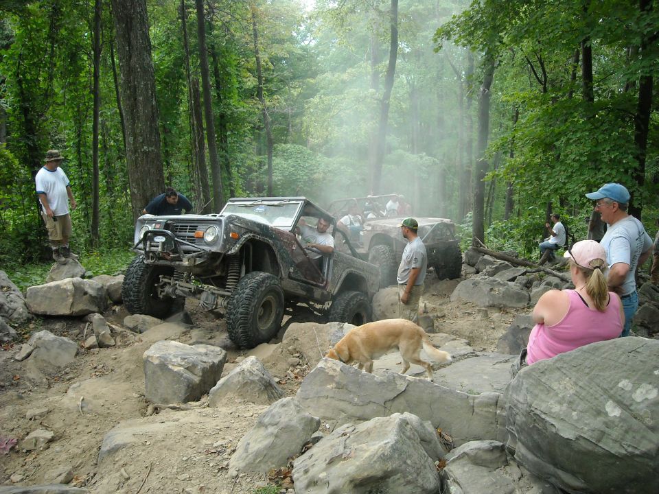 Off-road vehicles and people on a misty rocky trail with a dog